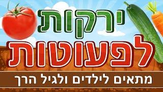 ירקות לפעוטות | ירקות לגיל הרך