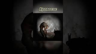 Коротко о Кровососе в Stalker!!! Кровосос в  Сталкер//Кто такие кровососы Сталкер