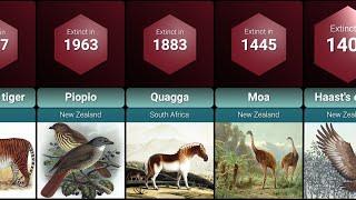 Extinct Animals Lost to History Due to Human Activity