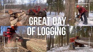 A GREAT day of Logging Hardwoods!