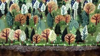 32. Знакомство с грибами
