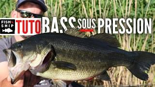 TUTO BASS : Stratégie en milieu pressurisé by Hugo Favreau