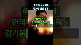 감기와 몸살을 예방하는 최고의 방법! 해열작용에 면역력을 키워줘서 감기몸살을 쫓아내는 비법 공유!!