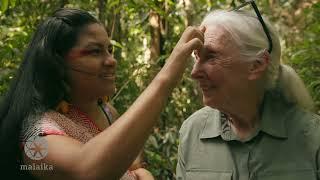 Dr. Jane Goodall 90th Birthday Celebration