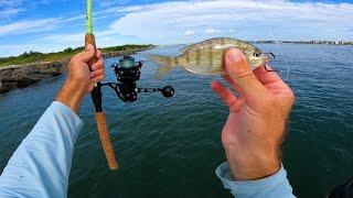 BIG BITE On This Pinfish!!! All Day Inshore Fishing Mission In Florida