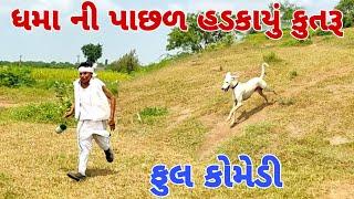 ધમા ની પાછળ હડકાયું કુતરૂ #Dhamocomedy #Gujraticomedy #Comedy   II