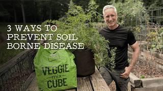 3 Options for Preventing Soil Borne Disease