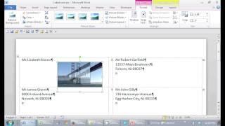 How to Put a Picture on a Mailing Label in Microsoft Word : Office Software Help