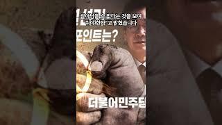 오늘의 뉴스 9월 11일 이재명 ''윤석열정권엔 금융치료 같은 '선거치료' 필요'' #뉴스 #정보 #이슈