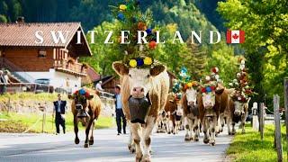 Rural life in Switzerland.A walk through the most remote villages in Switzerland. Alpabzug