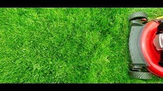 Lawn Maintenance Springfield IL