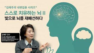 스스로 치유하는 뇌 II  빛으로 뇌를 재배선하다