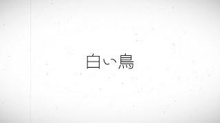 【Lyric MV】白い鳥　小松咲耶×大林メディカル