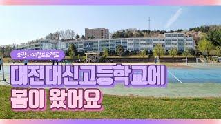 [오량사계절프로젝트] 대전대신고등학교에 봄이 왔어요