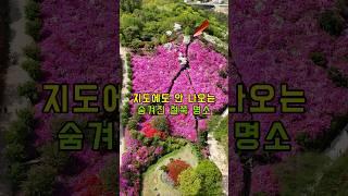 지도에도 안 나오는 숨겨진 철쭉 명소 #등산