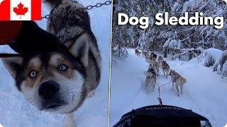 Dog Sledding in The Laurentian Mountains, Canada! | Evan Edinger Travel