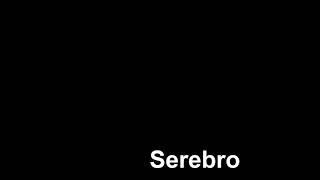 SEREBRO - Song #1 (New Black Version) (Official Audio)