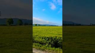 COUNTRYSIDE VIEW || IRELAND