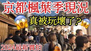 【日本旅遊】京都楓葉季真的被玩壞了嗎？2024年京都紅葉季實拍・日本京都秋天賞楓自由行・嵐山・清水寺・京都景點・京都現況・京都旅遊・日本自由行・真如堂・南禪寺・二尊院・京都旅遊攻略・日本獨旅京都獨旅