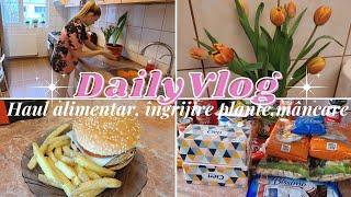 VLOGHaul alimentar LIDL, Treburi casnice, Burger de curcan