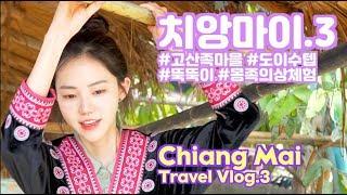 태국 치앙마이 여행 브이로그.3 / Chiang Mai Travel Vlog.3 #고산족마을 #도이수텝 #치앙마이커피