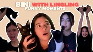 BINI with their lucky cat Lingling (funny moments)