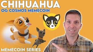 Chihuahua(HUAHUA) -OG Cosmos Memecoin  |||  Memecoin Series