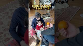 귤 때문에 신경전 벌이는 아기와 조부모님 ㅋㅋㅋ  #두돌아기