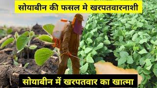 सोयाबीन की फसल के लिए खरपतवारनाशी | herbicide for soybean crop | #herbicide #soybean #सोयाबीन