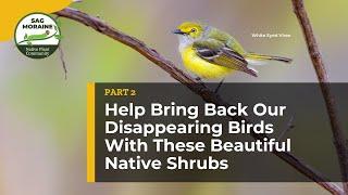  Help Bring Back Our Disappearing Birds With These Beautiful Native Shrubs (Part 2) 