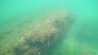 Nessebar, Bulgaria, local beach, snorkeling with jellyfish, type 1