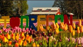 Wooden Shoe Tulip Festival 2024