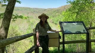 Virtual Green River Bluffs Hike