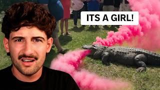 GENDER REVEAL CRINGE