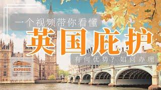 【英国庇护】一个视频看懂 #英国庇护 #政治庇护 #英国难民 #移民英國 #英国移民指南 #英国难民庇护申请