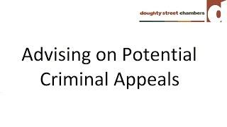 Advising on Potential Criminal Appeals