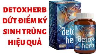 Detoxherb Diệt Ký Sinh Trùng Trong Cơ Thể Có Tốt Không? Mua Chính Hãng Ở Đâu?