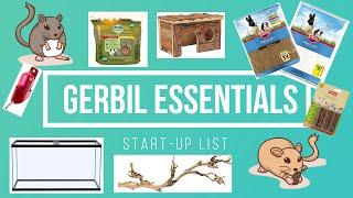 Gerbil Essentials - A Start Up List For Gerbils