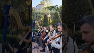 Strangers In The Night (Frank Sinatra) - Enchanted Strings - Harp Quartet in Holly wood #wedding