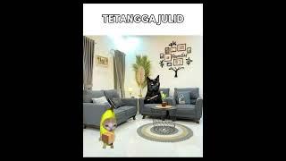 Tetangga CCTV paling hebat.  #kucing #fyoupage #cat #kucinglucu #cats #catshorts #masukberanda #lucu