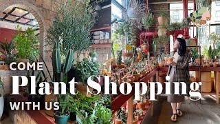 Brooklyn Must-See Plant Shops Tour - NYC House Plant Shopping 2021