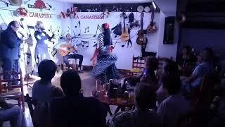 tablao flamenco la Canastera Almería (1)