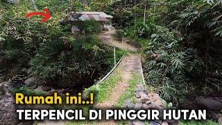 RUMAH PINGGIR HUTAN  KEHIDUPAN DI KAMPUNG TERPENCIL DATARAN TINGGI PEGUNUNGAN BANYUMAS