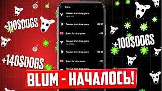 BLUM - БОЛЬШЕ ОБНОВЛЕНИЕ! ДРОП $DOGS В DROP GAME! МОНЕТ $DOGS НЕ ХВАТИТ НА ВСЕХ?