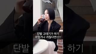 #단발펌 #단발 #단발머리 #단발병 #스타일링 #스타일링팁 #단발스타일링 #애쉬브라운