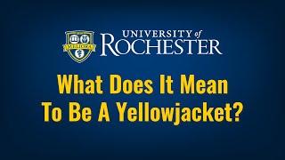 What Does It Mean To Be A Yellowjacket?