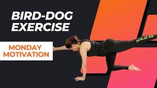 Monday Motivation: Bird-Dog Exercise! #bhagyashree #exercise #workout #motivation