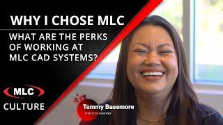 What are the Perks of Working at MLC CAD Systems?