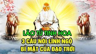 LÃO TỬ TINH HOA: 3 Câu Nói Kinh Điển Giúp Bạn Lĩnh Ngộ BÍ MẬT CỦA ĐẠO TRỜI - An Lạc Thọ Ích cả đời