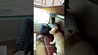 DOGs IN TRAIN | How to travel with your pet in train? #shorts #viral #youtubeshorts